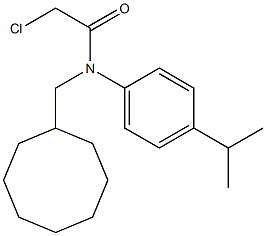 2-chloro-N-(cyclooctylmethyl)-N-(4-isopropylphenyl)acetamide 结构式