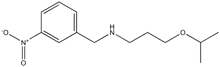 [(3-nitrophenyl)methyl][3-(propan-2-yloxy)propyl]amine 结构式