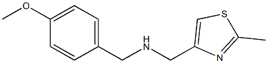 [(4-methoxyphenyl)methyl][(2-methyl-1,3-thiazol-4-yl)methyl]amine 结构式