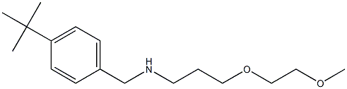 [(4-tert-butylphenyl)methyl][3-(2-methoxyethoxy)propyl]amine 结构式