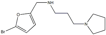 [(5-bromofuran-2-yl)methyl][3-(pyrrolidin-1-yl)propyl]amine 结构式