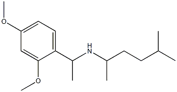 [1-(2,4-dimethoxyphenyl)ethyl](5-methylhexan-2-yl)amine 结构式