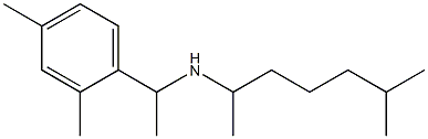 [1-(2,4-dimethylphenyl)ethyl](6-methylheptan-2-yl)amine 结构式