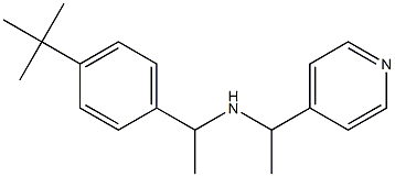 [1-(4-tert-butylphenyl)ethyl][1-(pyridin-4-yl)ethyl]amine 结构式