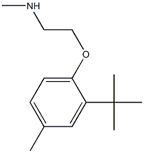 [2-(2-tert-butyl-4-methylphenoxy)ethyl](methyl)amine 结构式