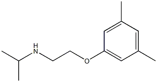 [2-(3,5-dimethylphenoxy)ethyl](propan-2-yl)amine 结构式