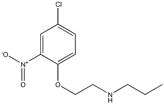 [2-(4-chloro-2-nitrophenoxy)ethyl](propyl)amine 结构式