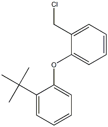 1-tert-butyl-2-[2-(chloromethyl)phenoxy]benzene 结构式
