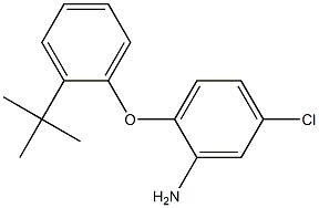 2-(2-tert-butylphenoxy)-5-chloroaniline 结构式