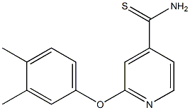 2-(3,4-dimethylphenoxy)pyridine-4-carbothioamide 结构式