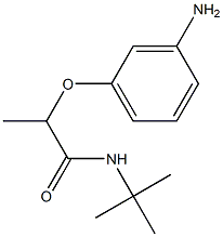 2-(3-aminophenoxy)-N-tert-butylpropanamide 结构式