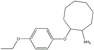 2-(4-ethoxyphenoxy)cyclooctan-1-amine 结构式