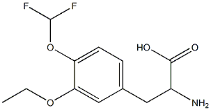2-amino-3-[4-(difluoromethoxy)-3-ethoxyphenyl]propanoic acid 结构式