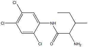 2-amino-3-methyl-N-(2,4,5-trichlorophenyl)pentanamide 结构式