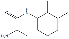 2-amino-N-(2,3-dimethylcyclohexyl)propanamide 结构式