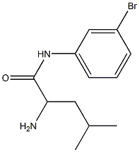 2-amino-N-(3-bromophenyl)-4-methylpentanamide 结构式