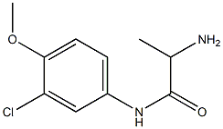 2-amino-N-(3-chloro-4-methoxyphenyl)propanamide 结构式