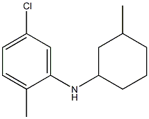5-chloro-2-methyl-N-(3-methylcyclohexyl)aniline 结构式