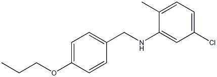 5-chloro-2-methyl-N-[(4-propoxyphenyl)methyl]aniline 结构式