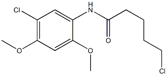 5-chloro-N-(5-chloro-2,4-dimethoxyphenyl)pentanamide 结构式