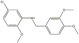 5-chloro-N-[(3,4-dimethoxyphenyl)methyl]-2-methoxyaniline 结构式