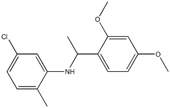 5-chloro-N-[1-(2,4-dimethoxyphenyl)ethyl]-2-methylaniline 结构式