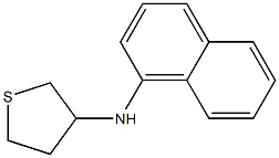 N-(naphthalen-1-yl)thiolan-3-amine 结构式