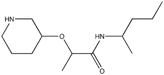 N-(pentan-2-yl)-2-(piperidin-3-yloxy)propanamide 结构式