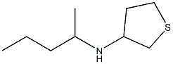 N-(pentan-2-yl)thiolan-3-amine 结构式