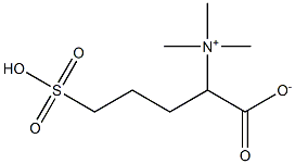 磺丙基甜菜碱 结构式