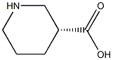 (R)-3-哌啶甲酸 结构式