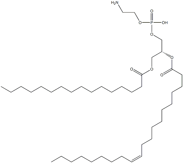 2-aminoethoxy-[(2R)-3-hexadecanoyloxy-2-[(Z)-icos-11-enoyl]oxy-propoxy]phosphinic acid 结构式