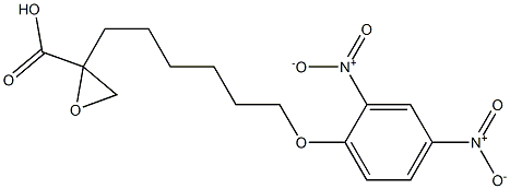 2-(6-(2,4-dinitrophenoxy)hexyl)oxirane carboxylic acid 结构式