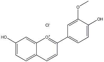 3'-METHOXY-4',7-DIHYDROXYFLAVYLIUMCHLORIDE 结构式
