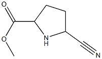 5-Cyano-pyrrolidine-2-carboxylic acid methyl ester 结构式