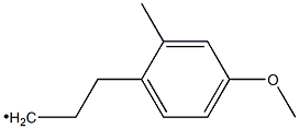 (4-Methoxy-2-methylphenyl)propyl- 结构式