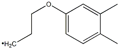 [2-(3,4-Dimethylphenoxy)ethyl]methyl- 结构式