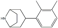 3-(2,3-dimethylphenyl)-8-azabicyclo[3.2.1]octane 结构式
