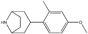 3-(4-methoxy-2-methylphenyl)-8-azabicyclo[3.2.1]octane 结构式