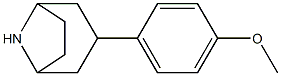 3-(4-methoxyphenyl)-8-azabicyclo[3.2.1]octane 结构式