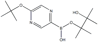 5-(TERT-BUTOXY)PYRAZINE-2-BORONIC ACID PINACOL ESTER 结构式