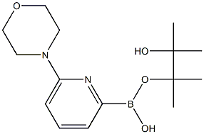 6-MORPHOLINOPYRIDINE-2-BORONIC ACID PINACOL ESTER 结构式