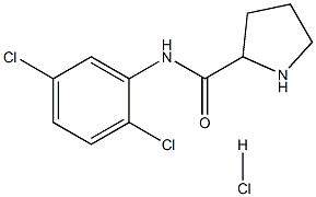 N-(2,5-dichlorophenyl)pyrrolidine-2-carboxamide hydrochloride 结构式