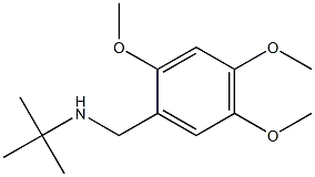 N-(tert-butyl)-N-(2,4,5-trimethoxybenzyl)amine 结构式