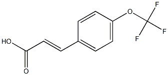 (2E)-3-[4-(trifluoromethoxy)phenyl]acrylic acid 结构式