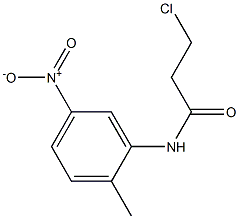 3-chloro-N-(2-methyl-5-nitrophenyl)propanamide 结构式
