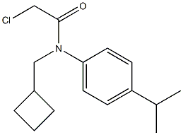 2-chloro-N-(cyclobutylmethyl)-N-(4-isopropylphenyl)acetamide 结构式