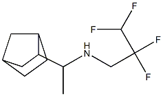 (1-{bicyclo[2.2.1]heptan-2-yl}ethyl)(2,2,3,3-tetrafluoropropyl)amine 结构式