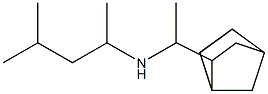 (1-{bicyclo[2.2.1]heptan-2-yl}ethyl)(4-methylpentan-2-yl)amine 结构式