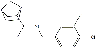 (1-{bicyclo[2.2.1]heptan-2-yl}ethyl)[(3,4-dichlorophenyl)methyl]amine 结构式
